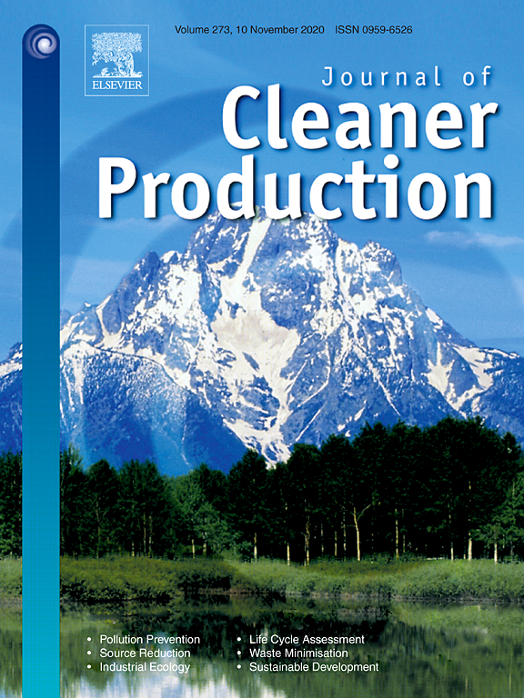 CleanerProduction
